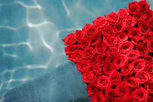 floating pool design of red roses designed by durham florist poppy belle floral design